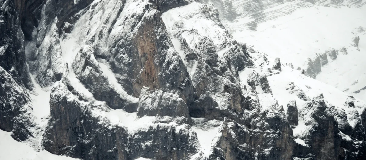 UX Survival Workshop